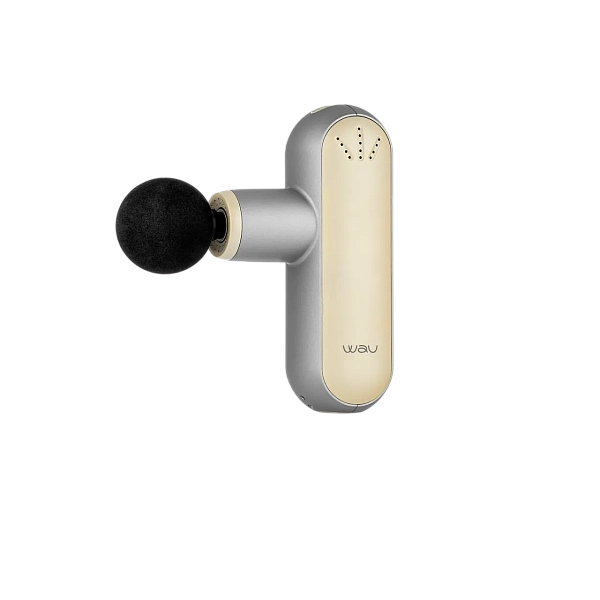 картинка HAZUMI Light WAU